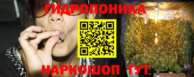 дурь Заводоуковск