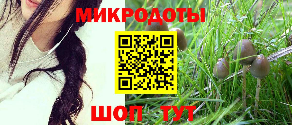 Галлюциногенные грибы мицелий Арсеньев