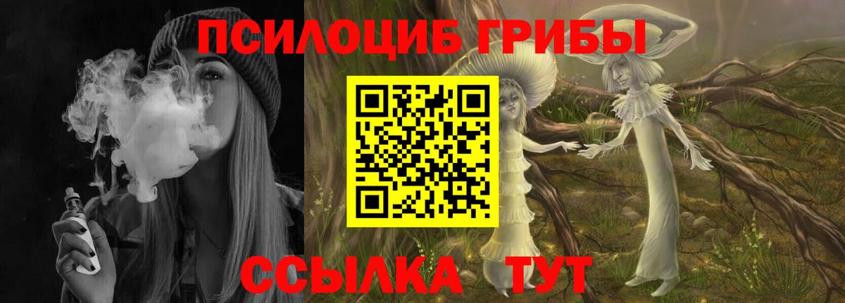 Арсеньев  Псилоцибиновые грибы MAGIC MUSHROOMS  Галлюциногенные грибы GOLDEN TEACHER  Вход с VPN 